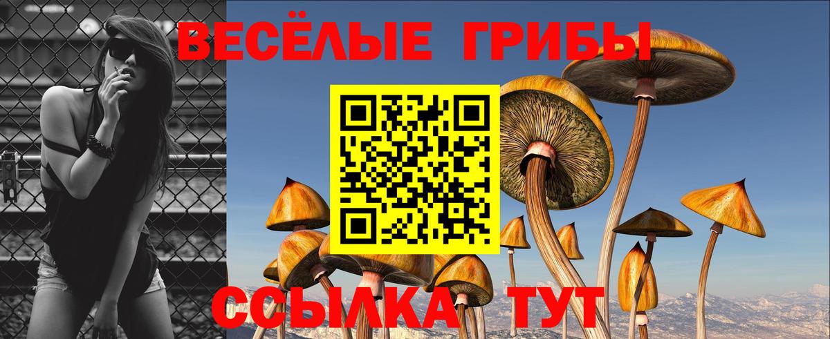 Бошки Шишки Егорьевск