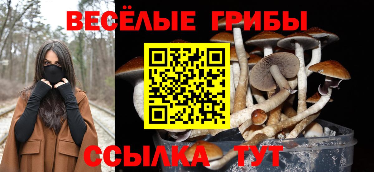Галлюциногенные грибы GOLDEN TEACHER  Вход с VPN  Егорьевск 