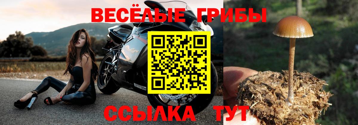 Галлюциногенные грибы мицелий Егорьевск